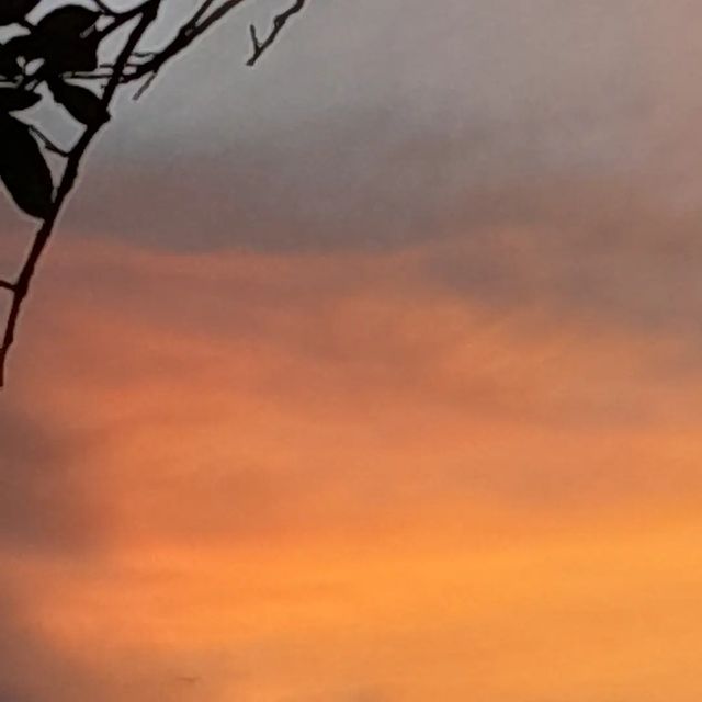 daffy_tjit в LOOKY. . 🌅
