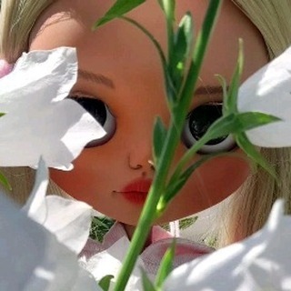 blythe.doll.nata в LOOKY. . null