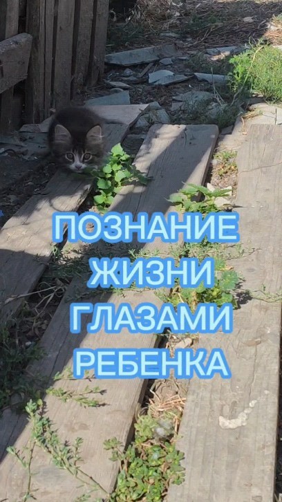 michenkosvetlana в LOOKY. . "Хепи" познает жизнь...