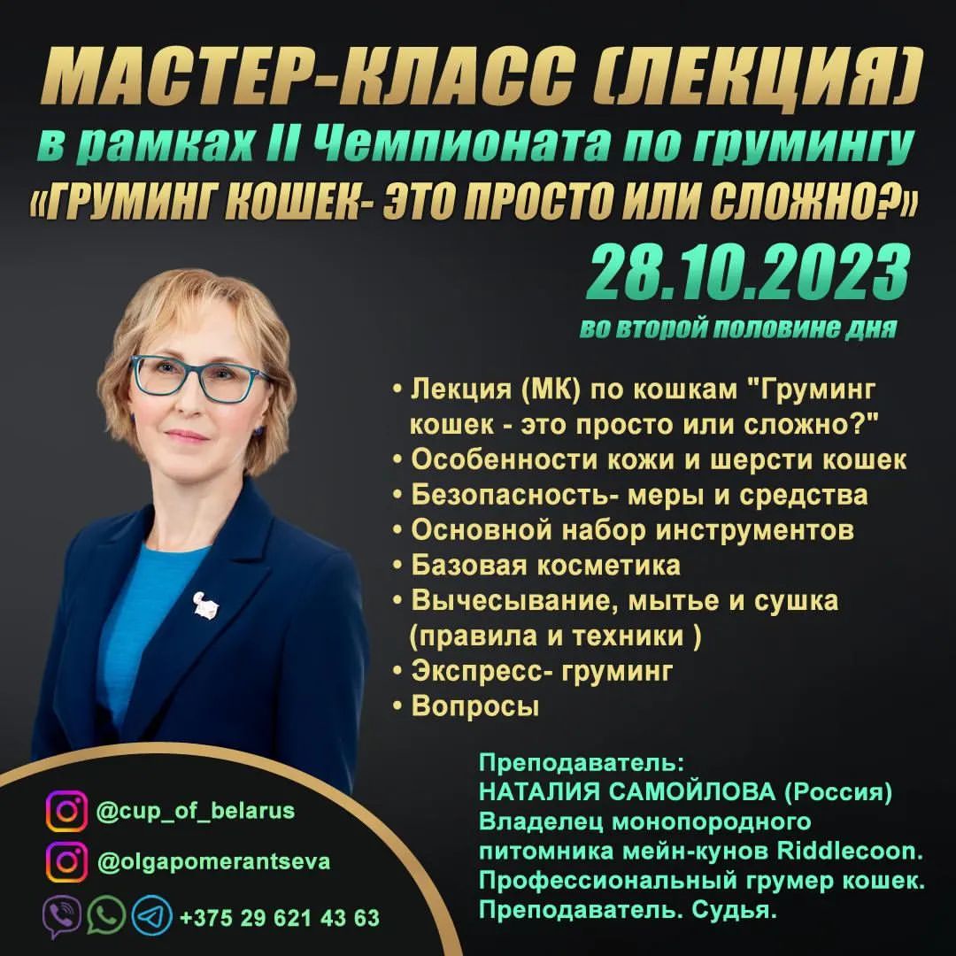 mycatgrooming in LOOKY. . Дорогие коллеги из Б...