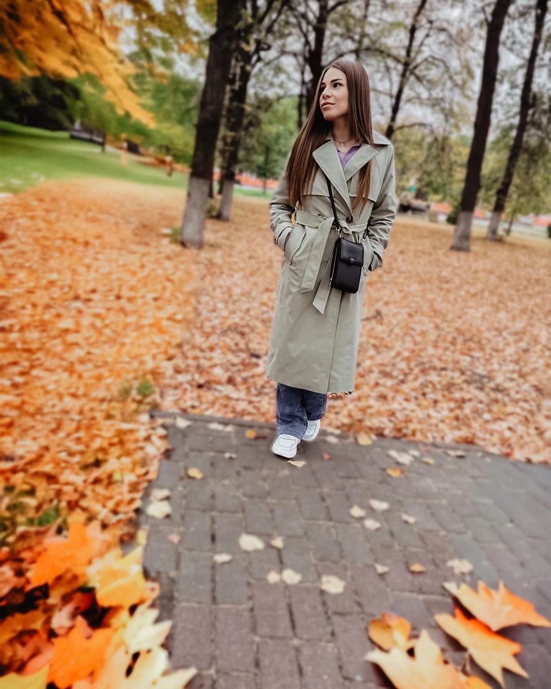 🍁🍂