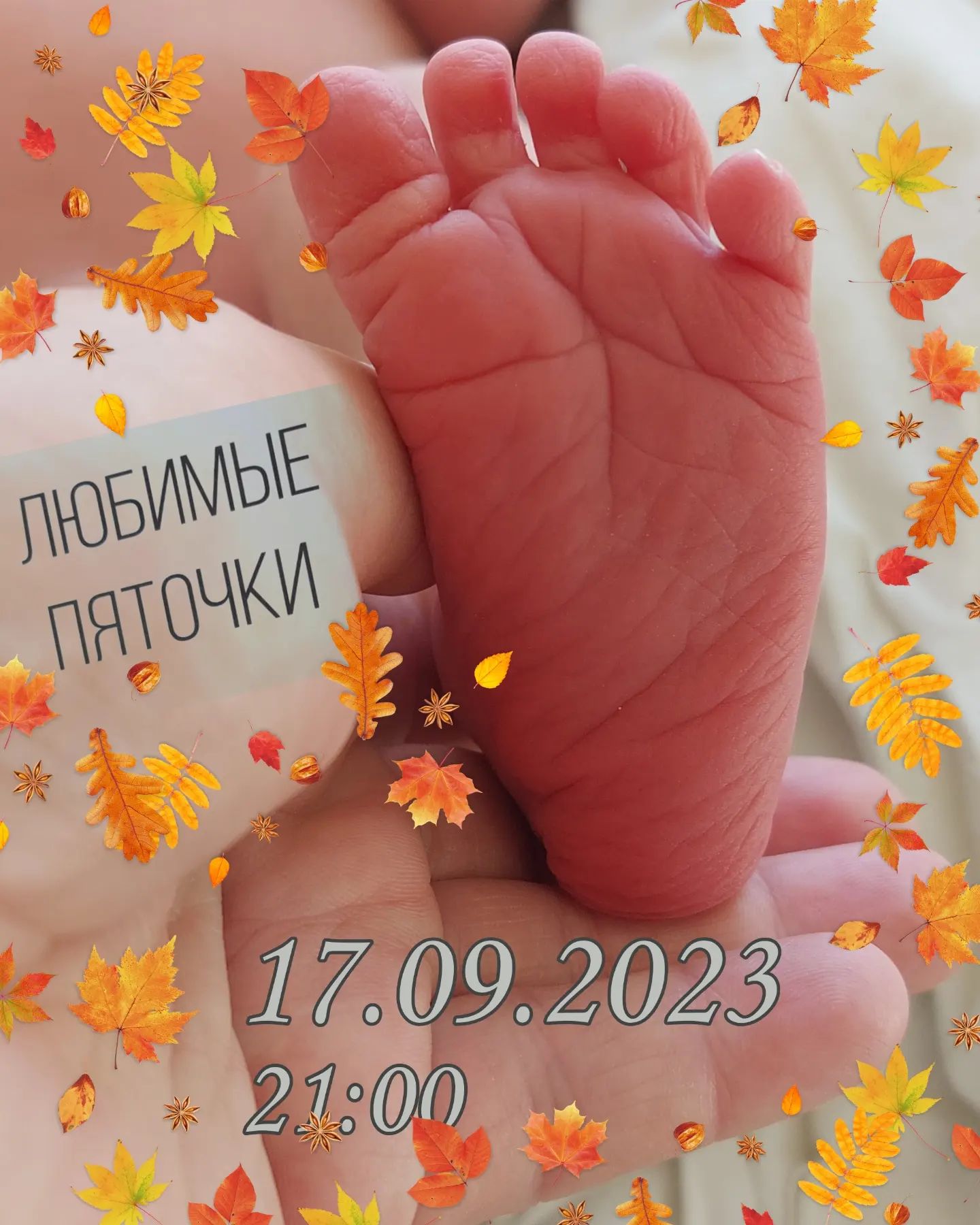 irina_zybenko в LOOKY. . null