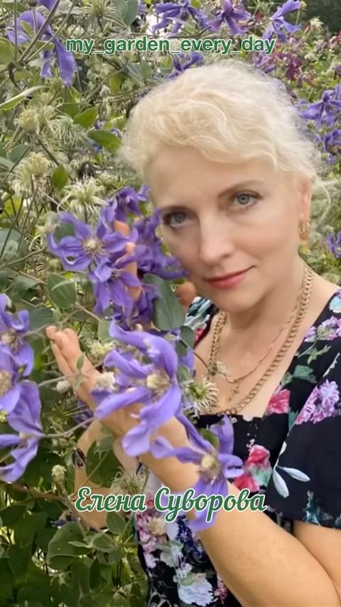 my_garden_every_day в LOOKY. . 🟢 Мой Сад - моя жиз...