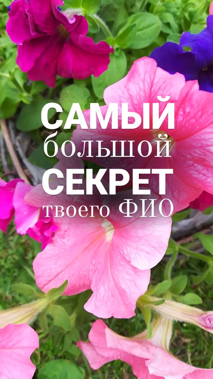 brovkina.rod в LOOKY. . ☀️ВАШЕ  ФИО УНИКАЛЬН...