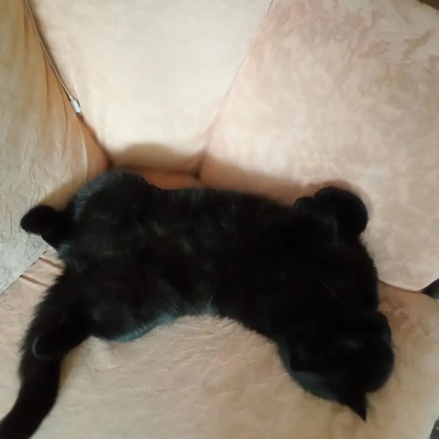 i_rina_as в LOOKY. . Все, что тебе надо —...