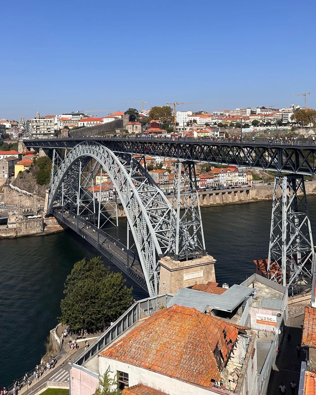 len_cha_cha в LOOKY — фото 5