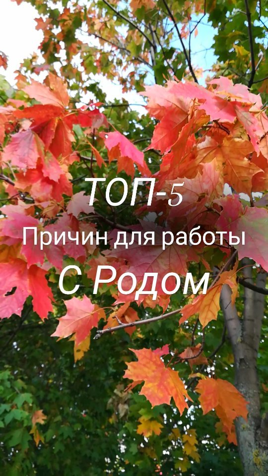brovkina.rod в LOOKY. . 💫ТОП-5 ПРИЧИН ДЛЯ Р...