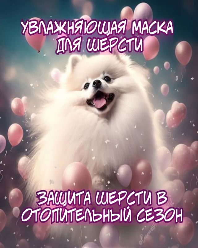 salon_dolly в LOOKY. #метроводныйстадион,#метроречнойвокзал,#метробеломорская,#метроховрино,#жкдискавери,#жкакватория,#жкфестивальпарк,#жкфлотилия,#кинотеатрнева,#ховрино,#головинскийрайон,#левобережныйрайон,#западноедегунино,#онежскаяулица,#северныйречнойвокзал,#лавочкина32,#северныеворота,#валдайскийпроезд,#речнойвокзал,#флотскаяулица,#стрижкаживотныхнасмольной,#стрижкасобак,#парксеверногоречноговокзала,#паркдружбы,#левобережныйпарк,#грачевскийпарк. Увлажняющая маска дл...