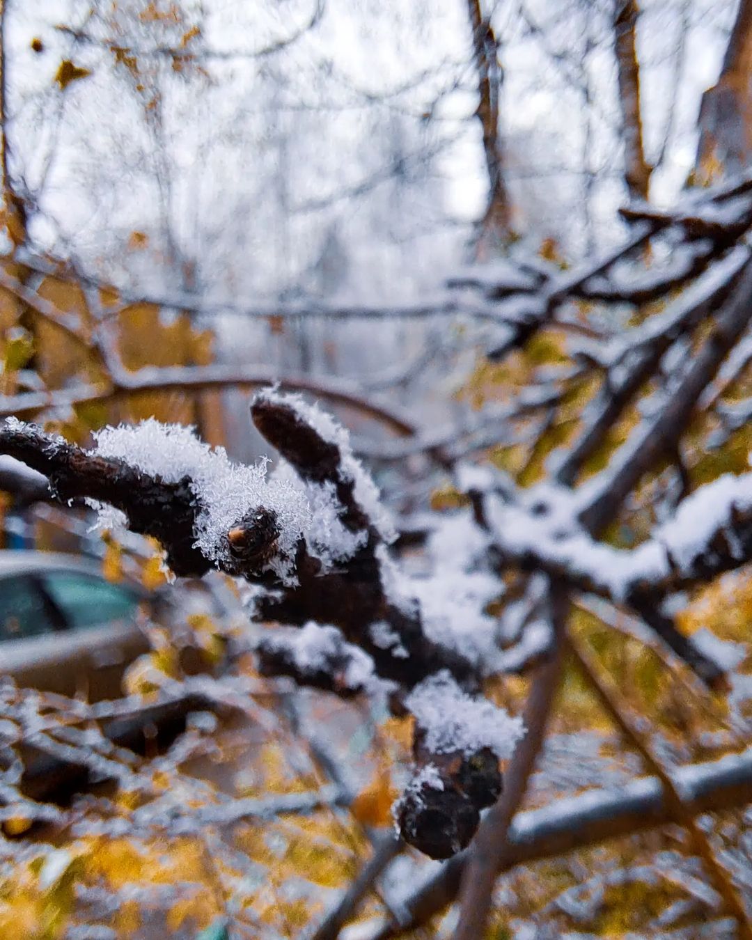 dimvortep в LOOKY — фото 2