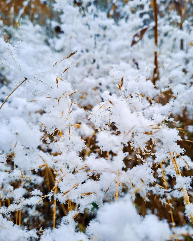 dimvortep в LOOKY. #снег,#snow,#pg11_фотодня,#gorod_syktyvkar,#Syktyvkar. Первый снег!
•••
Fir...