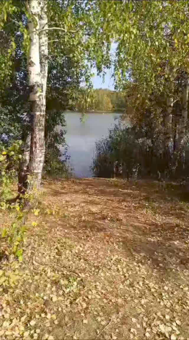 guzzilime в LOOKY. . Просто без слов .Над...