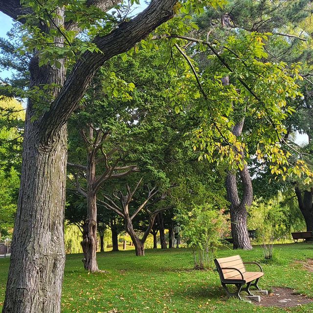 fidelity_jukai в LOOKY. #公園,#自然,#太陽. *
好きなところです❤️

朝の空気はと...