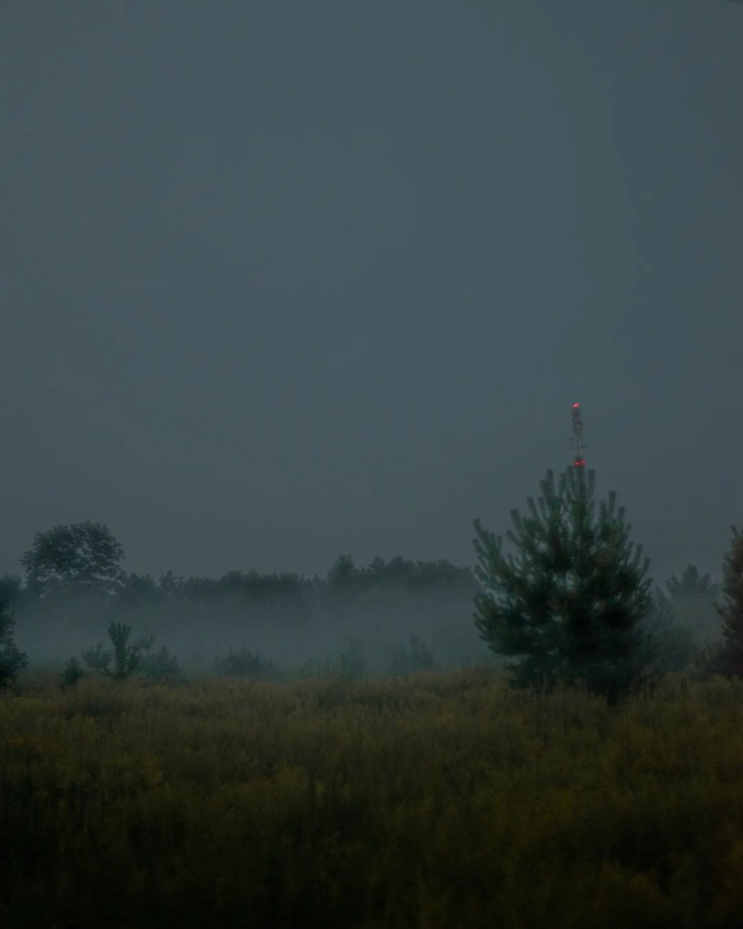 mltr.prod в LOOKY — фото 6