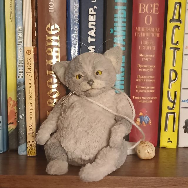 zelta87 в LOOKY. #теддикот,#bakanova_cat,#котиктеплыйживотик,#купитькота,#teddycat. Кот и книга- это вам...