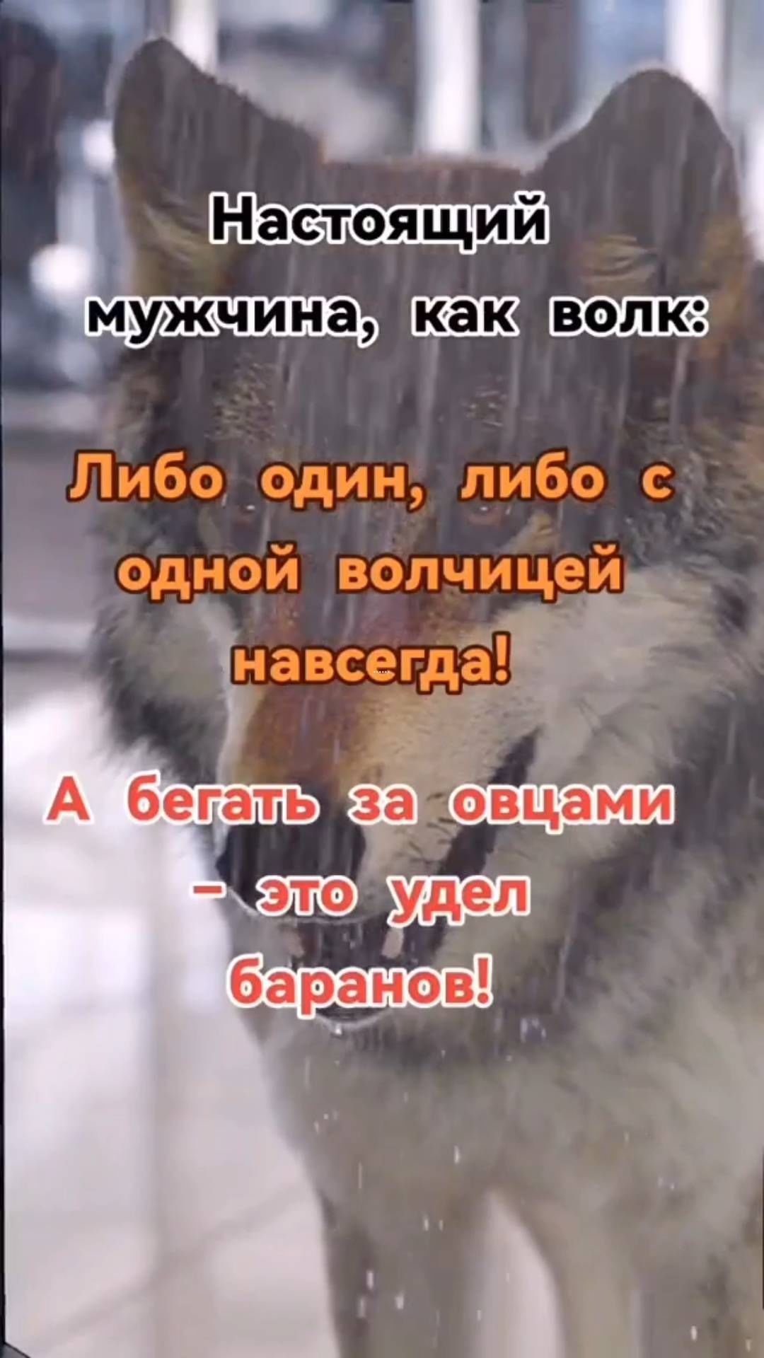 artem_aleksandrovich_popov в LOOKY. . null