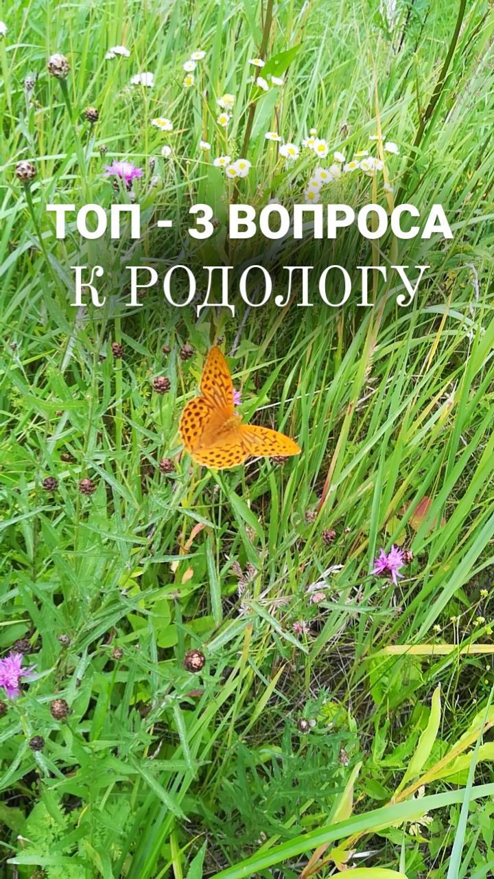 brovkina.rod в LOOKY. . ❔❔❔ТОП-3 ВОПРОСА К Р...