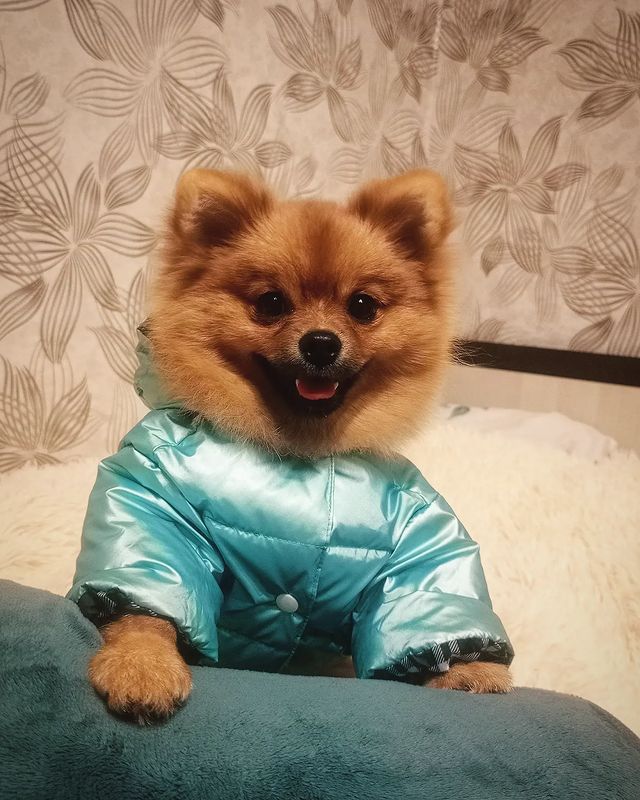 zubakova_16 в LOOKY. . 🤪❤