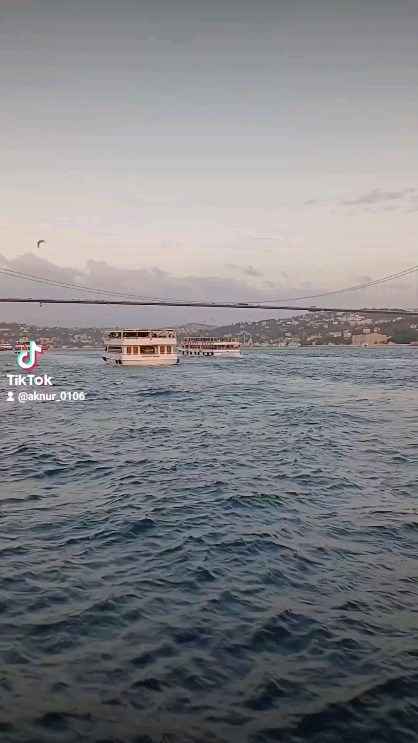 aknur0106 в LOOKY. . null