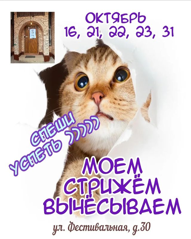 salon_dolly в LOOKY. #метроводныйстадион,#метроречнойвокзал,#метробеломорская,#метроховрино,#жкдискавери,#жкакватория,#жкфестивальпарк,#жкфлотилия,#кинотеатрнева,#ховрино,#головинскийрайон,#левобережныйрайон,#западноедегунино,#онежскаяулица,#северныйречнойвокзал,#лавочкина32,#северныеворота,#валдайскийпроезд,#речнойвокзал,#флотскаяулица,#стрижкаживотныхнасмольной,#стрижкасобак,#парксеверногоречноговокзала,#паркдружбы,#левобережныйпарк,#грачевскийпарк,#стрижкакошекмосква. Спеши успеть!

Мы на...