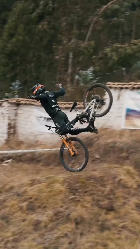 bike.damn в LOOKY. . null
