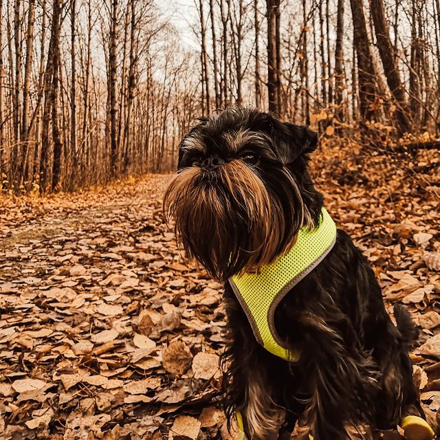 tkachenko_albert в LOOKY. . null