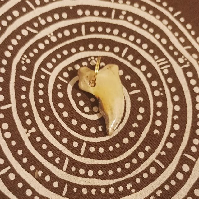 aiar_kyorsyn в LOOKY. #хобби,#клык,#оберег,#кость,#кулон,#брелок,#творчество,#рукоделие,#якутия,#этностиль,#кырдьагас,#сахасирэякутия,#сиэртуом,#харысхал,#медведь,#ойуу. #хобби #клык #оберег...