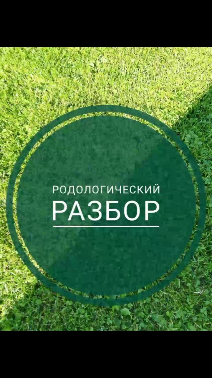 brovkina.rod в LOOKY. . 🌳РОДОЛОГИЧЕСКИЙ РАЗ...