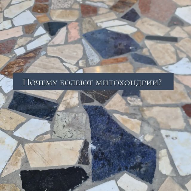 missdir в LOOKY. . Давайте разберемся, ...