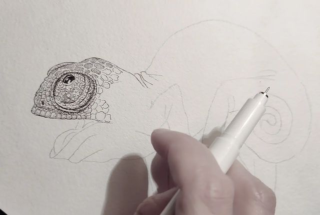 gaiagallery.sid в LOOKY. #рисунокточками,#точкотыканье,#пуантель,#pointilism,#процесссоздания,#drawing,#pendrawing. Очередной точкоперс�...
