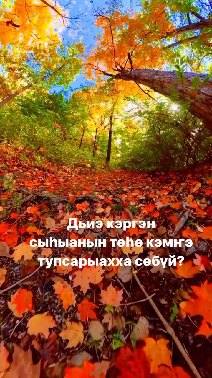 michiie_school в LOOKY. . Дьиэ кэргэн сыһыанын...