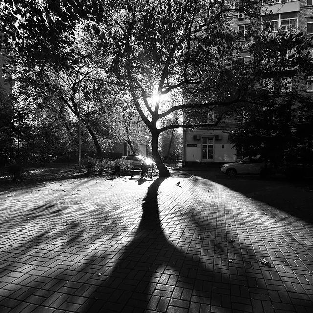 a.s.o.n.i.y.a в LOOKY. #bnwphotography,#bnwphoto,#bnw_zone,#bnw_of_our_world,#bnw_artstyle,#bnw_magazine,#bnw_legit,#bnw_greatshots,#streetphotography,#streetphotographyrussia,#street_avengers,#street_photo,#street_focus_on. #bnwphotography #bnw...