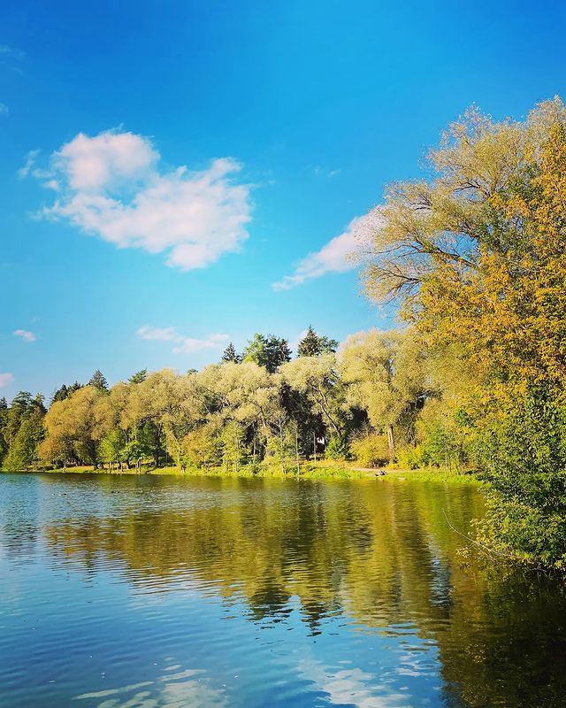 buyanovamaria в LOOKY. #september,#autumn,#russia,#lake,#forest,#autumntree. End of September #se...
