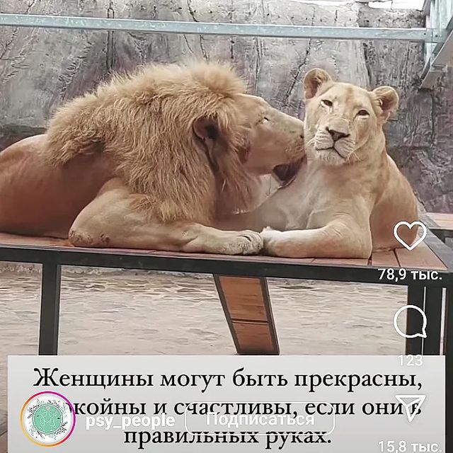 rubin_anna_999 в LOOKY. . null