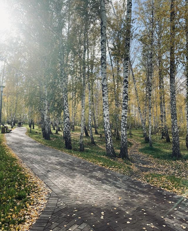 zhannaprosssto в LOOKY. #осень2023. #осень2023🍂☀️🍁