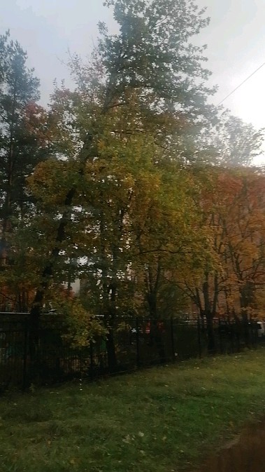 ksanaanatolevna79 в LOOKY. . Унылая пора! Очей оч...