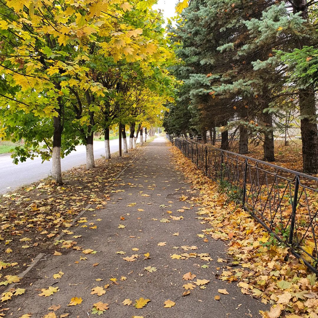 alla_foma2 in LOOKY. #октябрь,#autumn,#october. Осень
#осень #октябр...