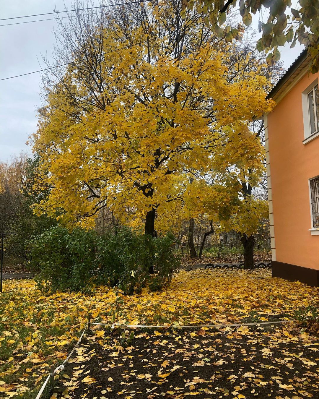 Autumn vibes 🍂