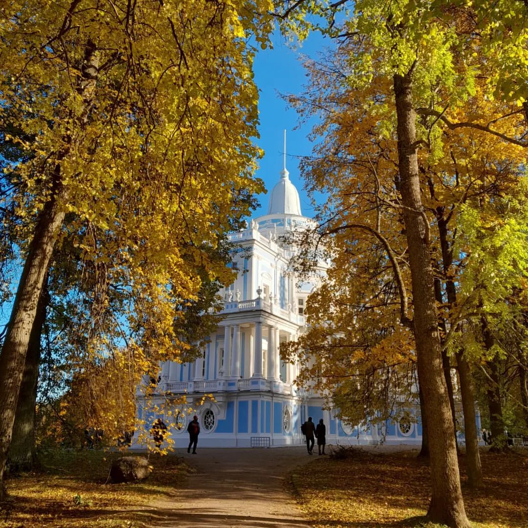 natalinevel в LOOKY — фото 3