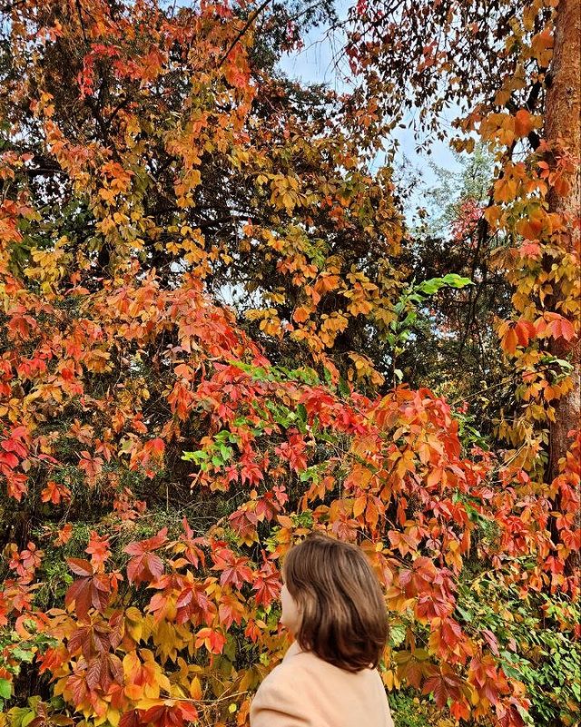 pinksunset_26 в LOOKY. . aŭtuno🍂☕