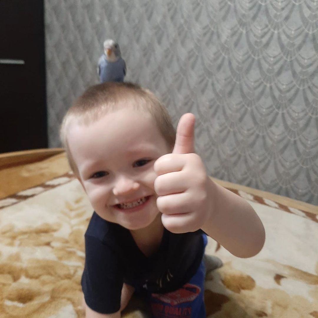 anastasiya_viktorovna48 в LOOKY — публикация