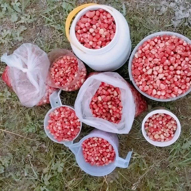 s_barashkova_86 в LOOKY. #пустьбудетздесь. Лето2023 #пустьбудет...