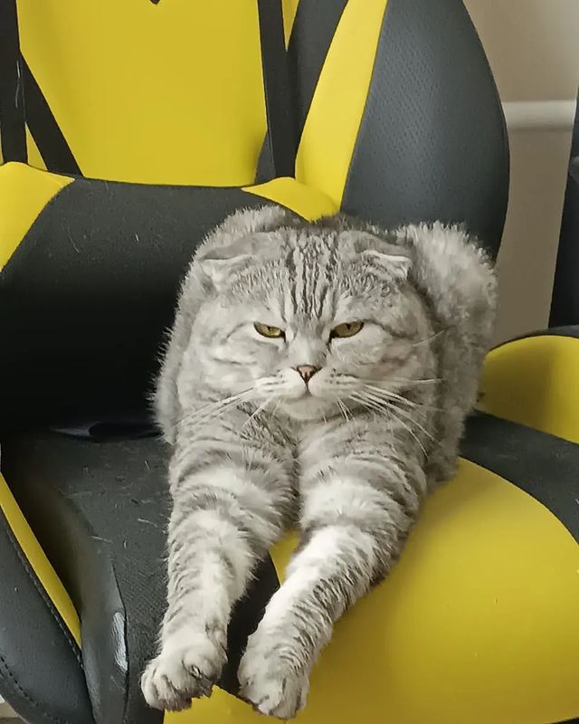 bin.omka в LOOKY. . И снова... Здравству...