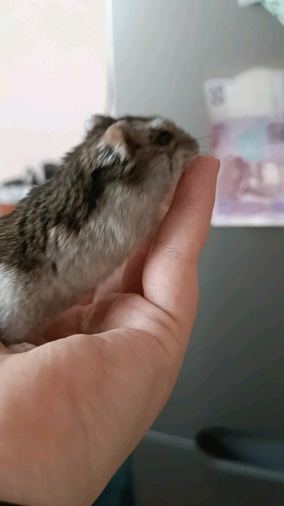 bin.omka в LOOKY. . У нас тут прибавлени...