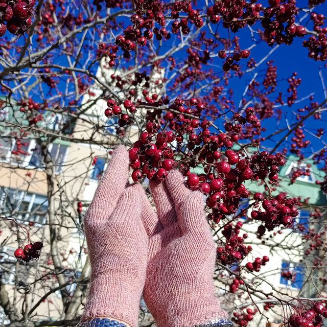 rolic.3 в LOOKY. #lia_gloves,#перчатки,#перчаткиспицами,#ручнаяработа,#перчаткиназаказ. Октябрь нынче балует...