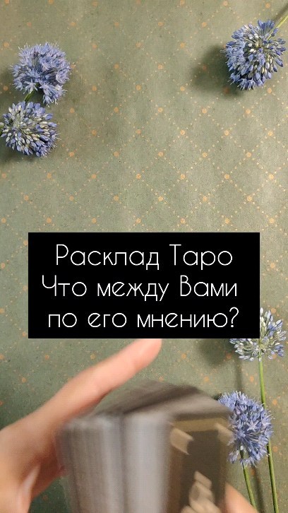 dergacheva13 в LOOKY. #Ишчё,#таро,#раскладтаро,#таропитер,#таромосква,#гаданиетаро,#общийрасклад,#маникюрмосква,#маникюрсургут,#тароонлайн,#таросургут. ЧТО МЕЖДУ ВАМИ, ПО М...