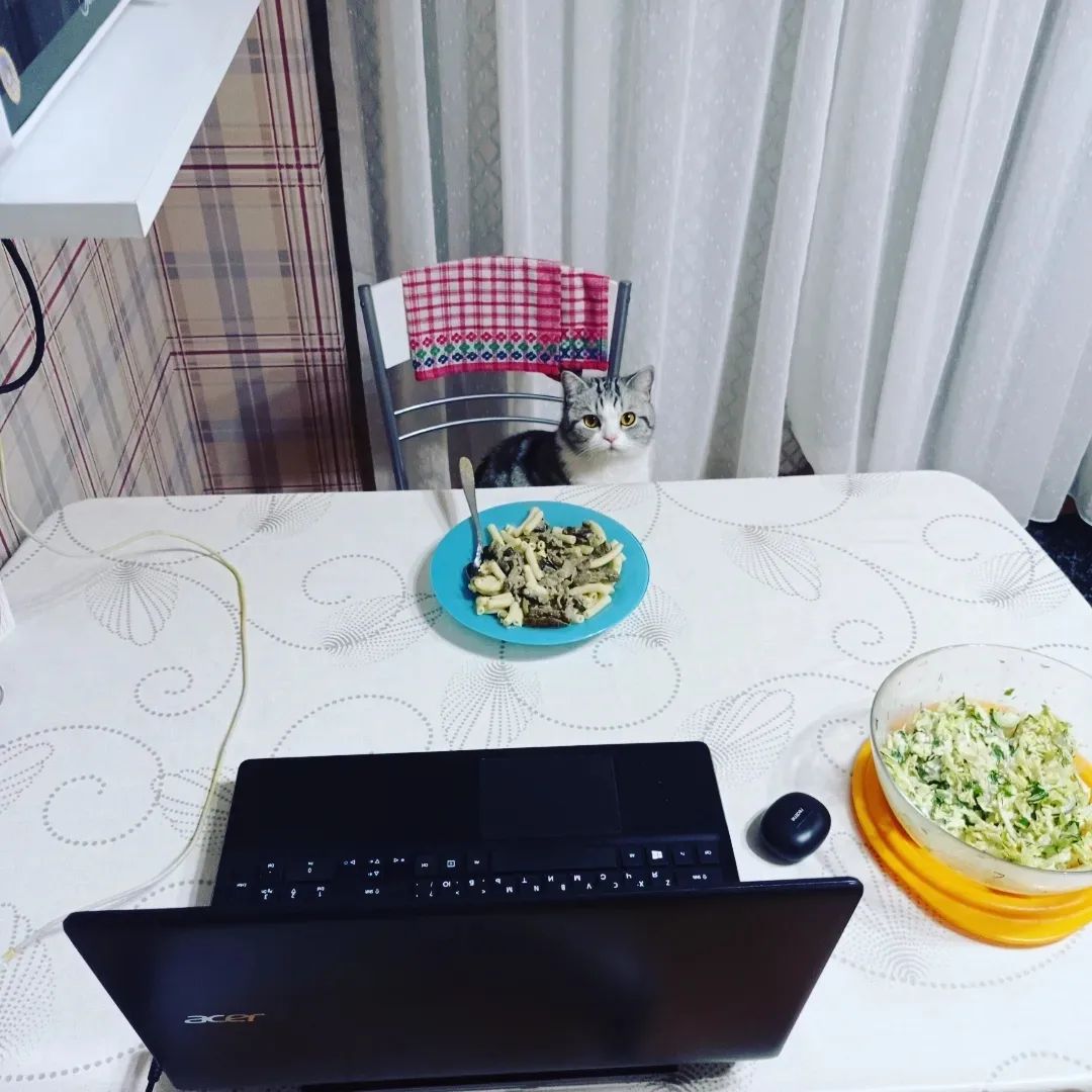 That's how my queen usually eats her dinner 🍽️😺🥰🤗