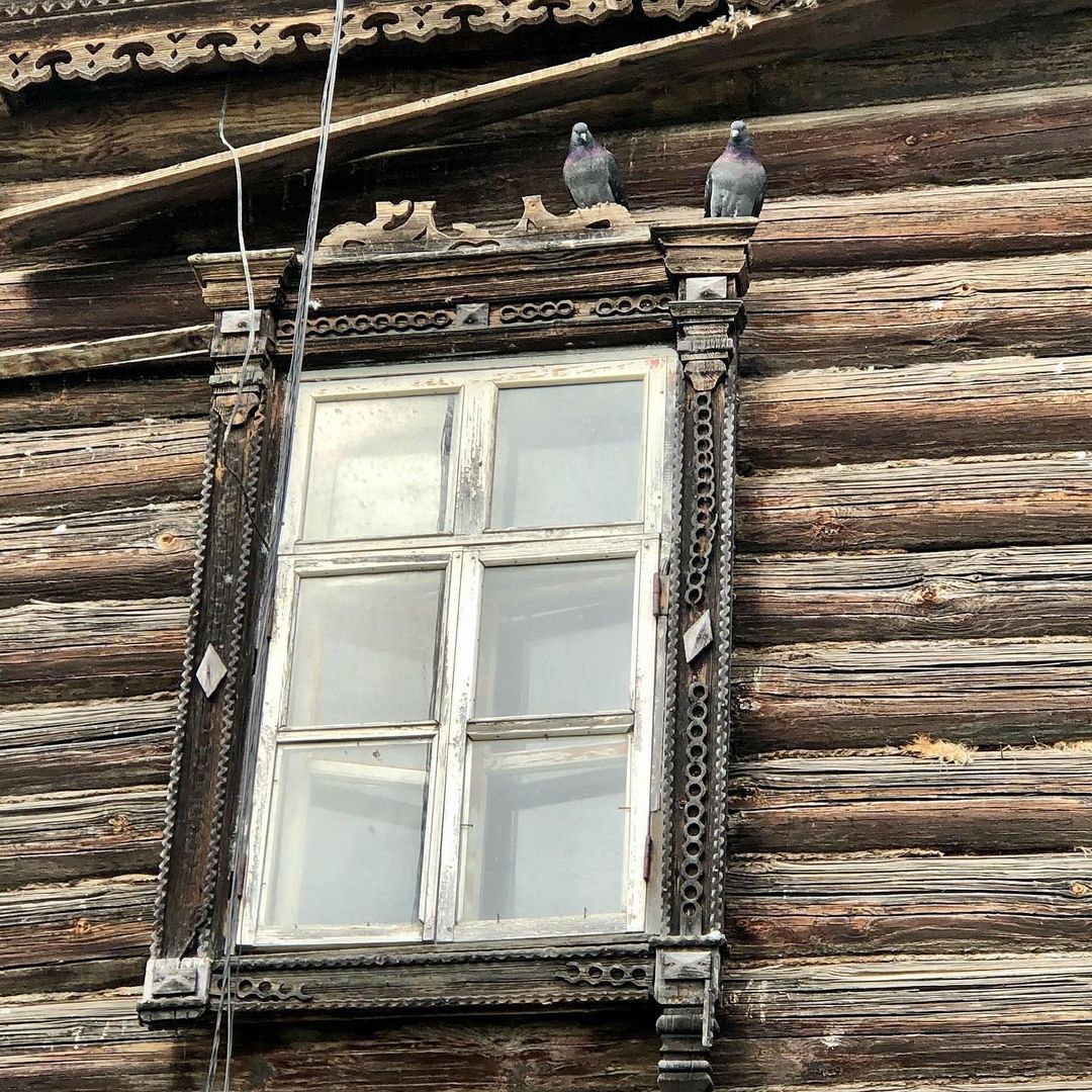 perepelkin_art в LOOKY — фото 5