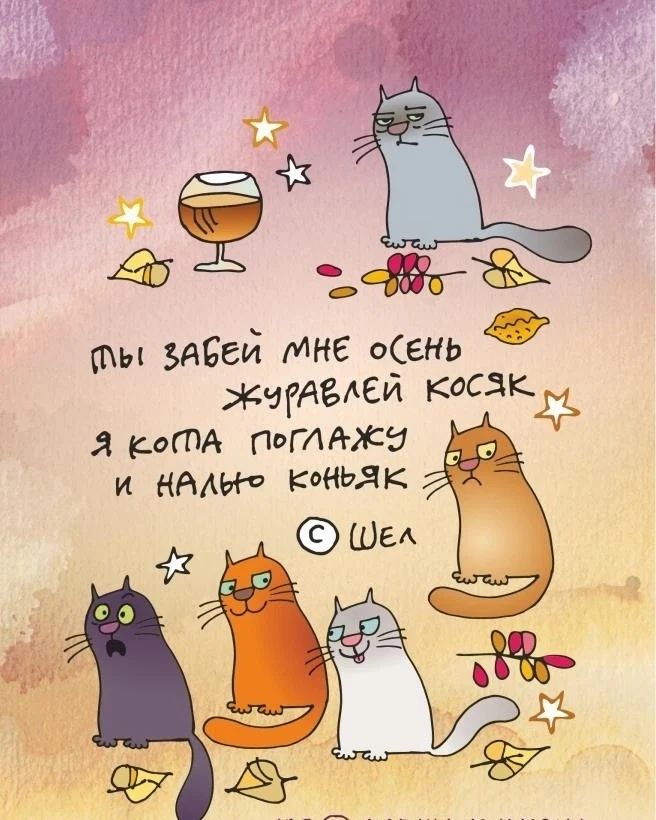 martisha_kisya_ в LOOKY — публикация