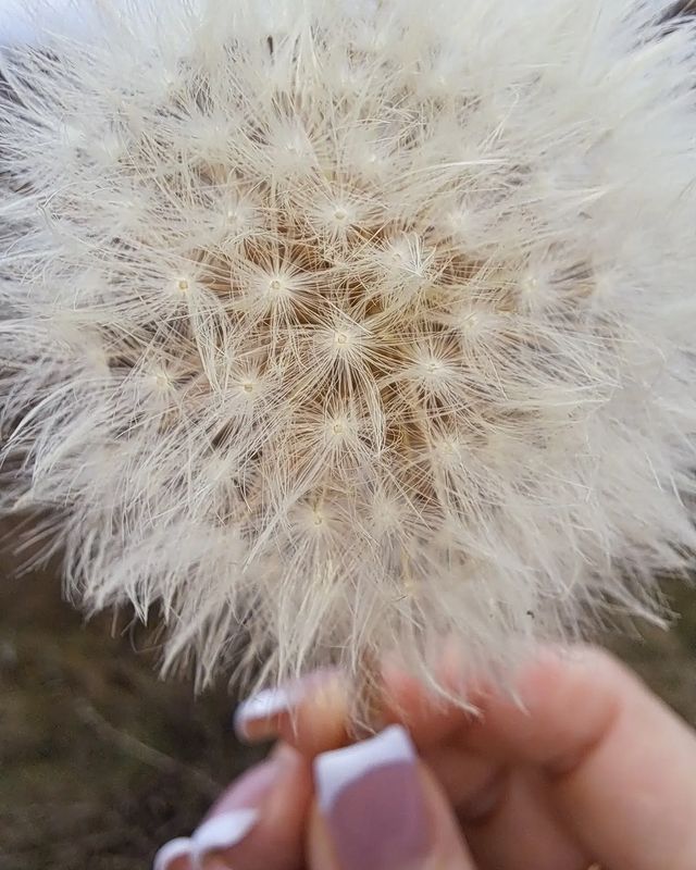 nadezhda_2202_m в LOOKY. . null