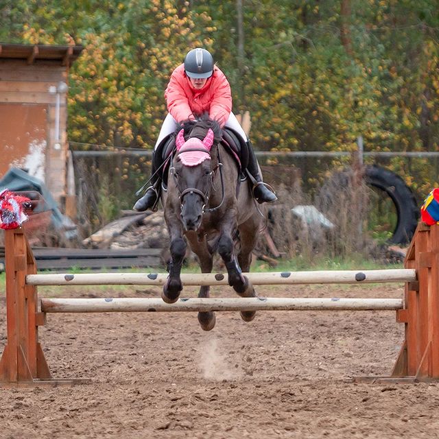 dm_cherentsovskiy в LOOKY. #мой_кадуй,#конныйдворикбрауни. #мой_кадуй #конныйдв...